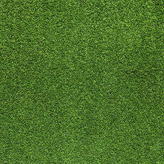 Kemra - Astro Turf Wallpaper (Roll: 61.5cm x 10m)