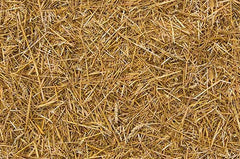 Kemra - Straw Wallpaper (Roll: 61.5cm x 10m)