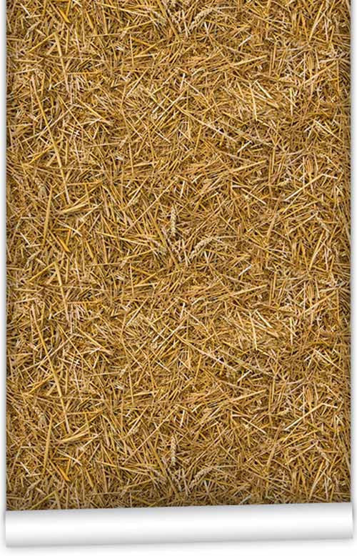 Kemra - Straw Wallpaper (Roll: 61.5cm x 10m)