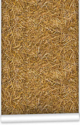 Kemra - Straw Wallpaper (Roll: 61.5cm x 10m)