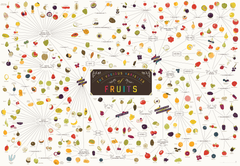 The Various Varieties of Fruits - Infographic Poster