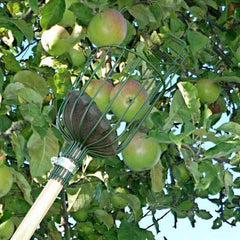 Burgon & Ball Fruit Picker