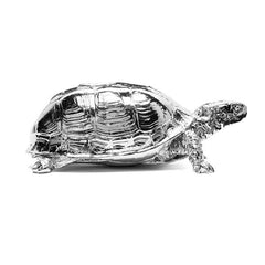 AREAWARE Turtle Box - Chrome