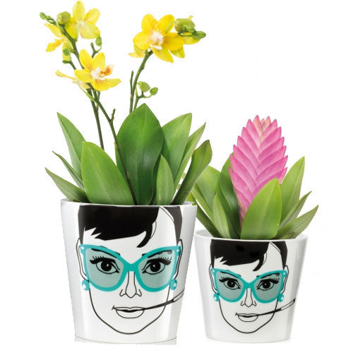 electric plant pot with face Donkey Products Flower Power Plant Pot