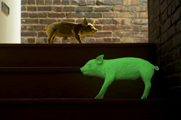 AREAWARE Bank in the form of a Pig -Piggy Bank – Beezer