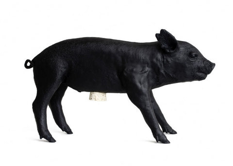 AREAWARE Bank in the form of a Pig -Piggy Bank