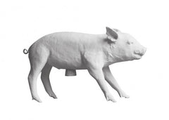 AREAWARE Bank in the form of a Pig -Piggy Bank