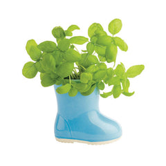 Eggling - Boot Garden