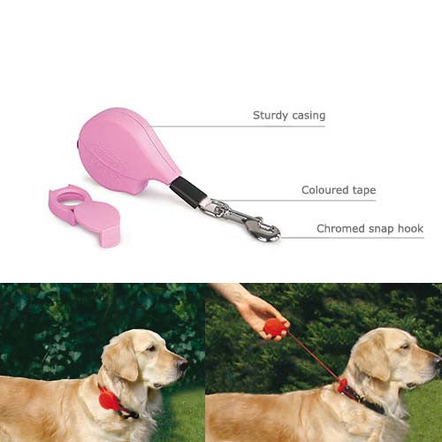 Flexi 3 dog clearance leash