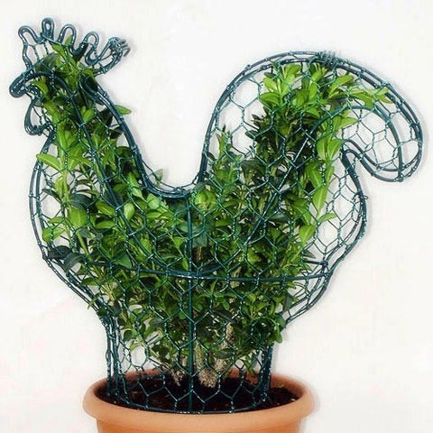 Burgon & Ball Cockerel Topiary Frame