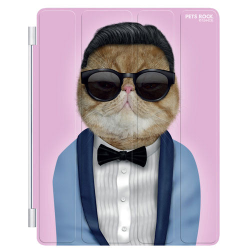 Pets Rock Gangnam iPad 2,3,4 Cover