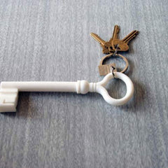 AREAWARE Key Keychain