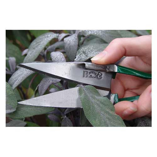 Burgon & Ball Mini Herb Shear