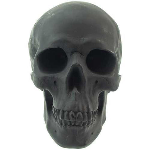 Skull Bookend