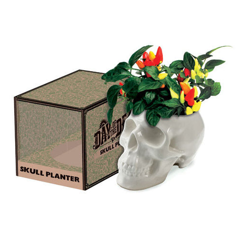 Skull Pot Plant