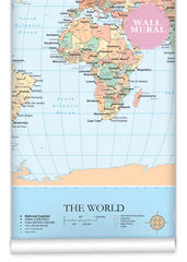 World Map Wall Mural