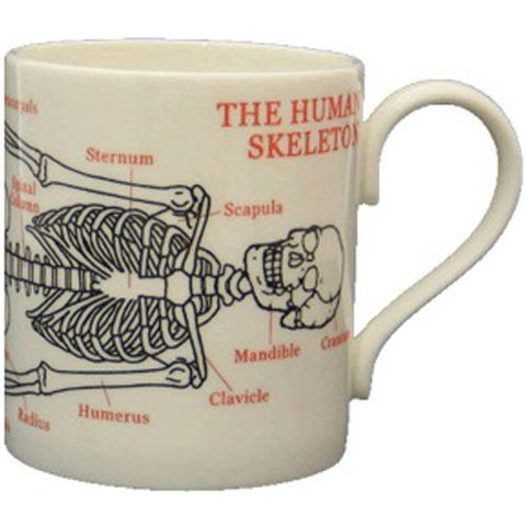 Educational Human Skeleton Mug