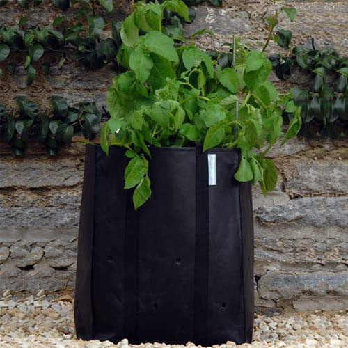 Burgon & Ball Potato Planting Bag (2 Pack)