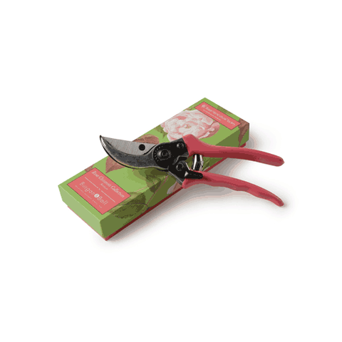 Burgon & Ball Secateurs - Gift Boxed