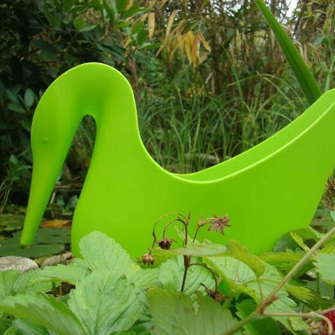 Swan Watering Can