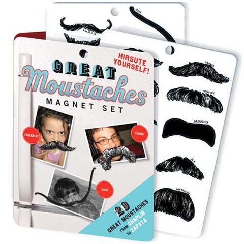 Moustache Magnet Set